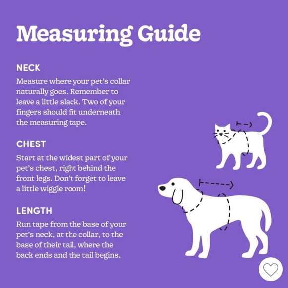 Boots & Barkley Chicken Costume for Dogs - White and Yellow, sz S, 2 available! - Picture 4 of 8